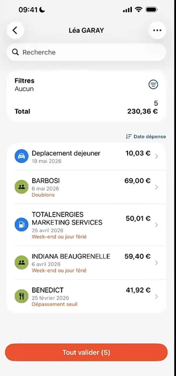 Silae Expense - anomalies et validation