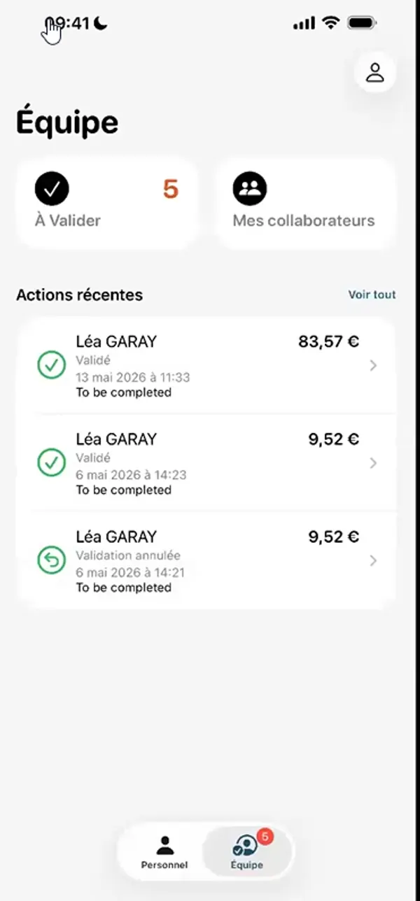Silae Expense - validation manager